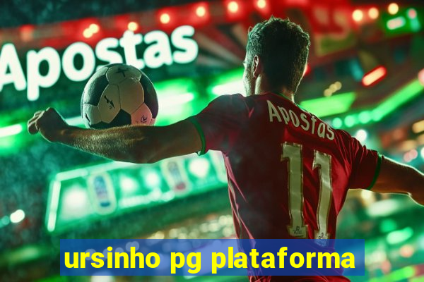 ursinho pg plataforma