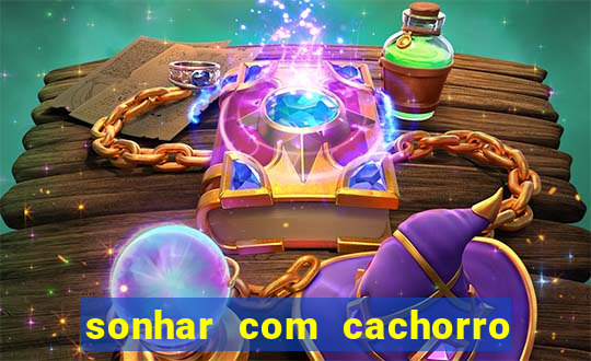 sonhar com cachorro cruzando jogo do bicho