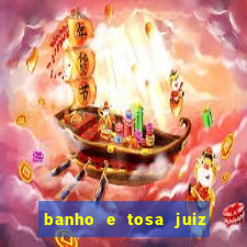 banho e tosa juiz de fora