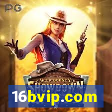 16bvip.com