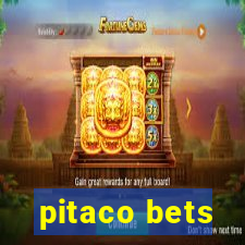 pitaco bets