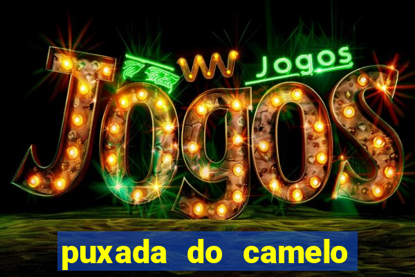 puxada do camelo jogo do bicho