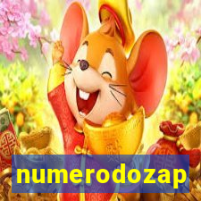 numerodozap