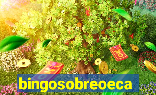 bingosobreoeca