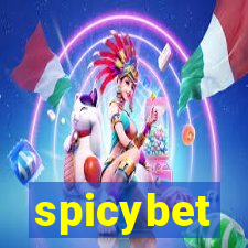 spicybet-4.com